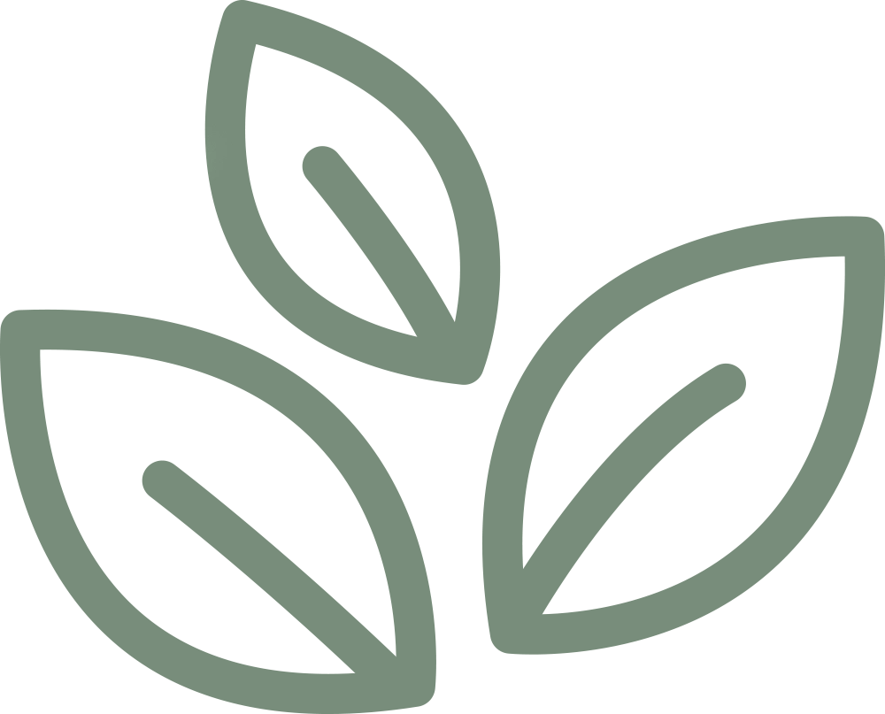 logo-icon-color logo-icon-color