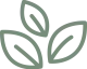 logo-icon-color logo-icon-color